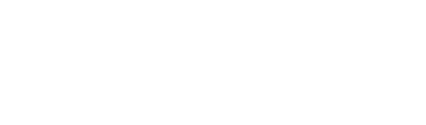 Destipix logo